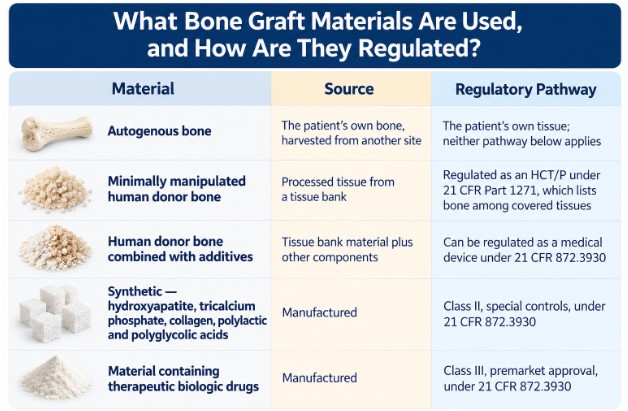 What Bone Graft Materials Are Used, and How Are They Regulated?